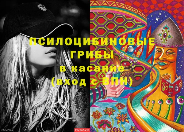 гашик Баксан
