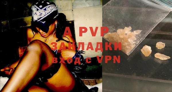 гашик Баксан