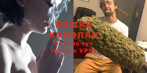 шишки Балахна
