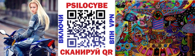 наркотики  Ленинск-Кузнецкий  Псилоцибиновые грибы Psilocybe 